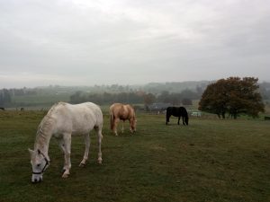 Prometha, Amber en Cindy